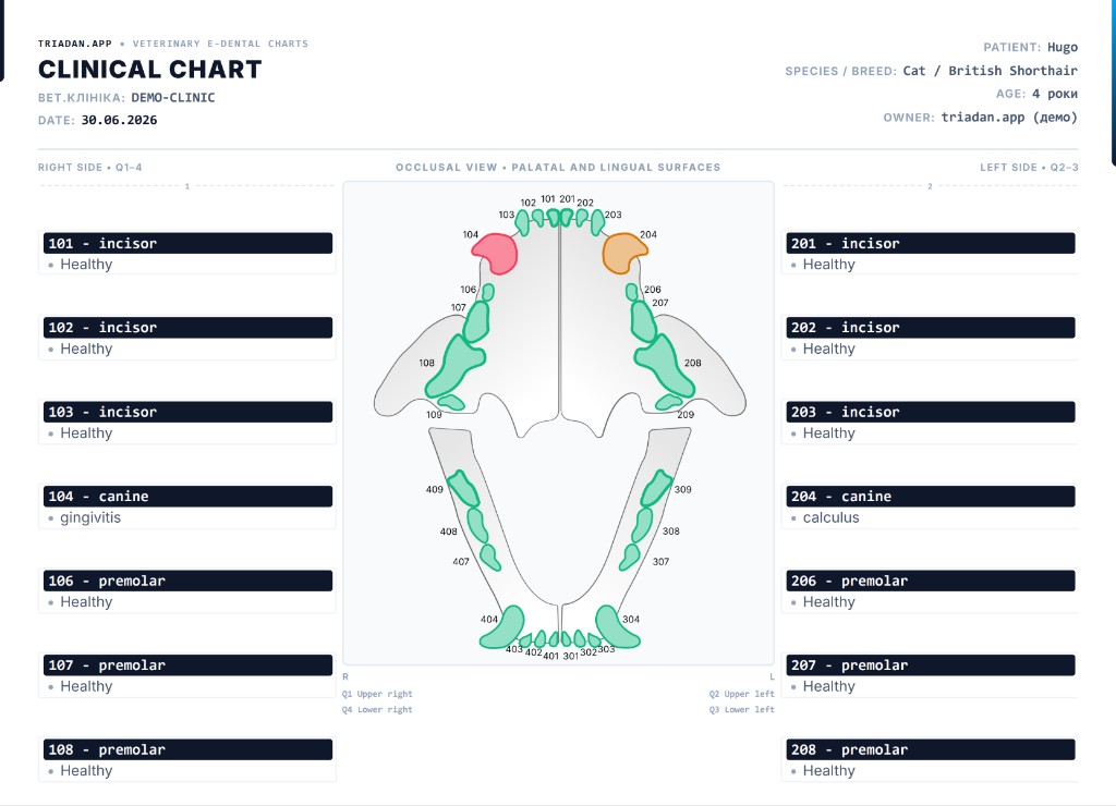triadan.app PDF — clinical dental report A4 for pet owner