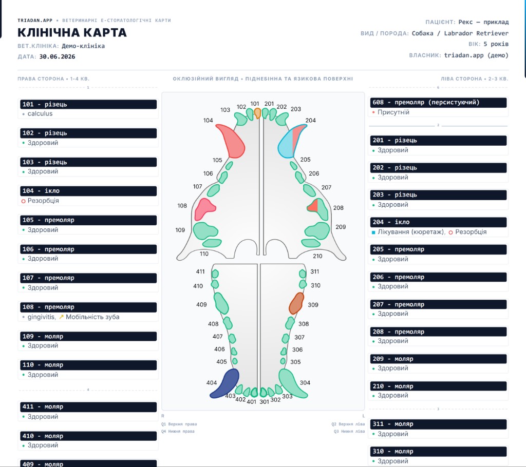 PDF-звіт triadan.app — клінічний стоматологічний звіт A4 для власника тварини